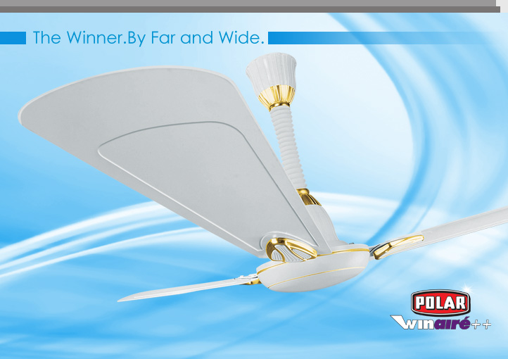 polar-winair