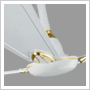 polar-winaire-wonderwhite